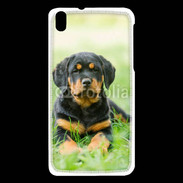 Coque HTC Desire 816 Chiot Rottweiler 2