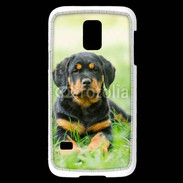 Coque Samsung Galaxy S5 Mini Chiot Rottweiler 2