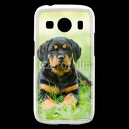Coque Samsung Galaxy Ace4 Chiot Rottweiler 2