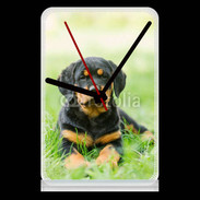 Pendule de bureau Chiot Rottweiler 2