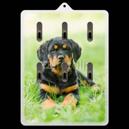 Porte clés Chiot Rottweiler 2