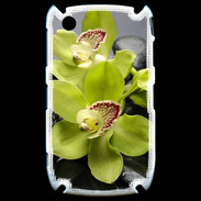 Coque Blackberry 8520 Orchidée jaune