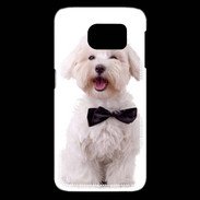 Coque Samsung Galaxy S6 edge Bichon avec noeud papillon