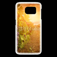 Coque Samsung Galaxy S6 edge Automne, vignes, couché de soleil