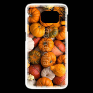 Coque Samsung Galaxy S6 edge fond de citrouilles automne