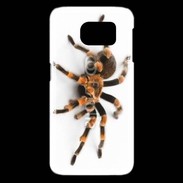 Coque Samsung Galaxy S6 edge Araignée tarentule