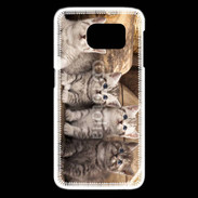Coque Samsung Galaxy S6 edge Chaton gris 2