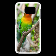 Coque Samsung Galaxy S6 edge Oiseau Inséparable