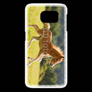 Coque Samsung Galaxy S6 edge Poulain dans un champs