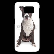 Coque Samsung Galaxy S6 edge American Staffordshire Terrier puppy