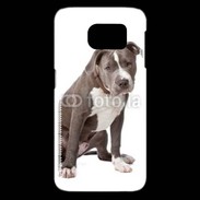 Coque Samsung Galaxy S6 edge American staffordshire bull terrier