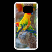 Coque Samsung Galaxy S6 edge Aratinga Solstitialis