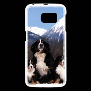 Coque Samsung Galaxy S6 Bouvier Bernois