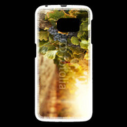 Coque Samsung Galaxy S6 Pied de vigne en automne