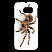 Coque Samsung Galaxy S6 Araignée tarentule