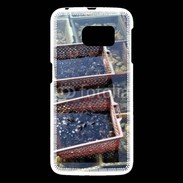 Coque Samsung Galaxy S6 Conchyliculteur