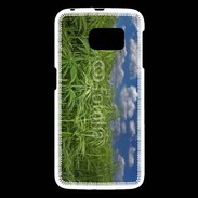 Coque Samsung Galaxy S6 Champs de cannabis