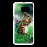 Coque Samsung Galaxy S6 Ecureuil