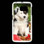 Coque Samsung Galaxy S6 Adorable chiot Border collie