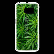 Coque Samsung Galaxy S6 Feuilles de marijuana