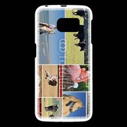 Coque Samsung Galaxy S6 Beauté de la camargue