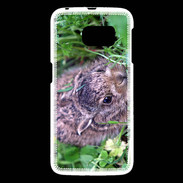 Coque Samsung Galaxy S6 Lapin sauvage PB 1