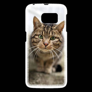 Coque Samsung Galaxy S6 Portrait de chat PR