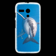 Coque Motorola G Grand requin blanc