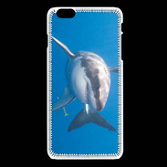 Coque iPhone 6Plus / 6Splus Grand requin blanc