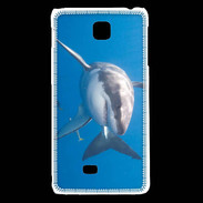 Coque LG F5 Grand requin blanc
