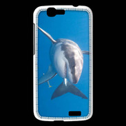 Coque Huawei Ascend G7 Grand requin blanc