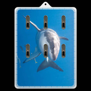 Porte clés Grand requin blanc