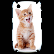 Coque Blackberry 8520 Adorable chaton 6