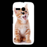 Coque Motorola G Adorable chaton 6