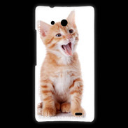Coque Huawei Ascend Mate Adorable chaton 6