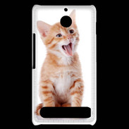 Coque Sony Xperia E1 Adorable chaton 6