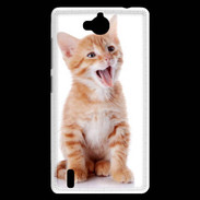 Coque Huawei Ascend G740 Adorable chaton 6