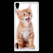 Coque Huawei Ascend P7 Adorable chaton 6