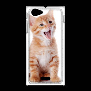 Coque Sony Xpéria J Adorable chaton 6