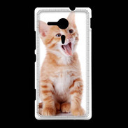 Coque Sony Xpéria SP Adorable chaton 6