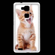 Coque Huawei Ascend Mate 7 Adorable chaton 6