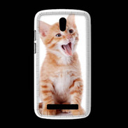 Coque HTC Desire 500 Adorable chaton 6