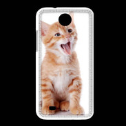 Coque HTC Desire 300 Adorable chaton 6