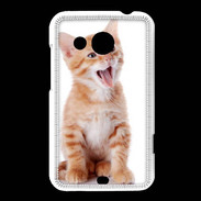 Coque HTC Desire 200 Adorable chaton 6