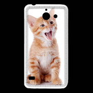 Coque Huawei Y550 Adorable chaton 6