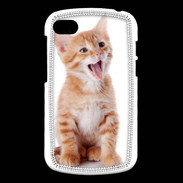 Coque Blackberry Q10 Adorable chaton 6