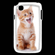 Coque LG L40 Adorable chaton 6