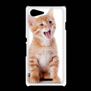 Coque Sony Xpéria E3 Adorable chaton 6