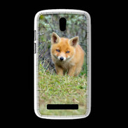 Coque HTC Desire 500 Renardeau 500