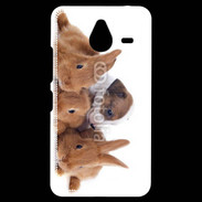 Coque Personnalisée Nokia Lumia 640XL LTE Gardien de lapins